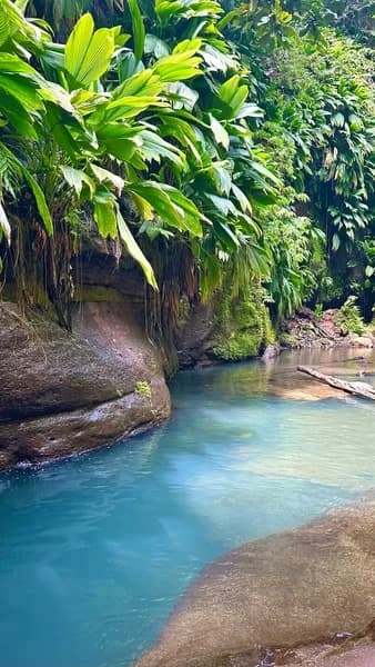 Domaine du Tambour - photo 2