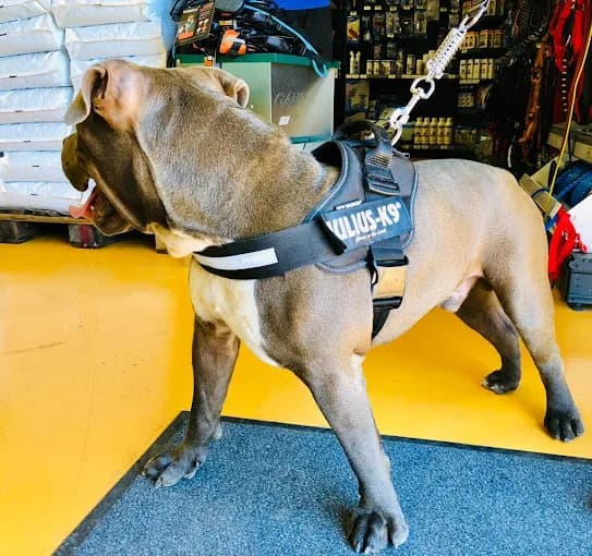 Jardin La Kaz à Zeb Petit-Bourg - photo 2