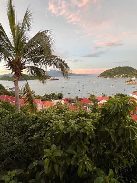 Traiteur Chez Freddy Petit-Bourg