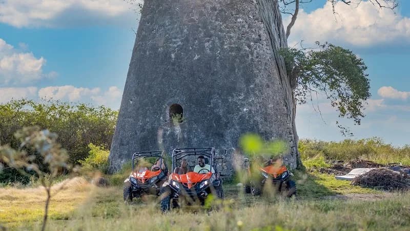 Papita Gwada Petit Canal