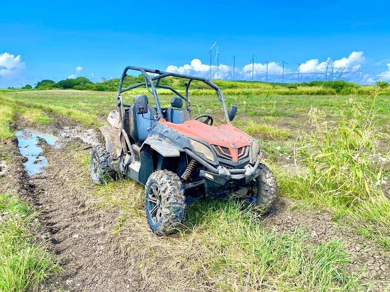 Papita Gwada Petit Canal - photo 2