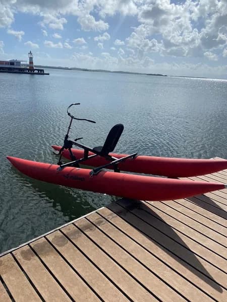 Visite de la Mangrove Clarisma Tour Petit-Canal