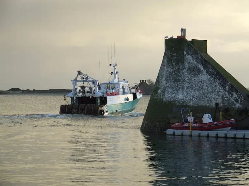 Assainissement Filtrinox Pointe-à-Pitre - photo 3