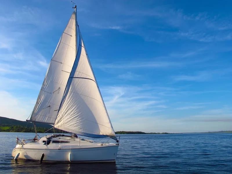 Assainissement Filtrinox Pointe-à-Pitre - photo 4