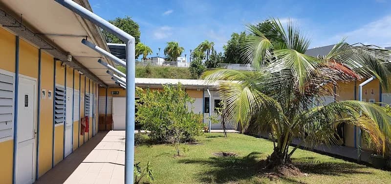 Athlete’s Foot - photo 3