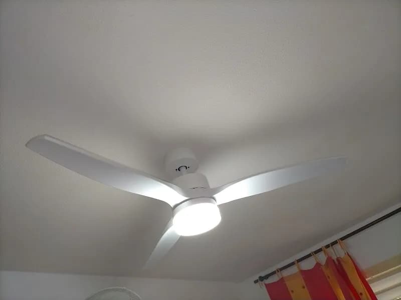 Caraïbe Écologie Les Verts Guadeloupe - photo 3