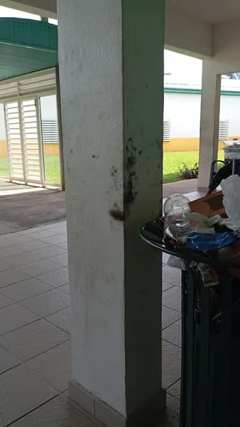 Carradin Laure - photo 3