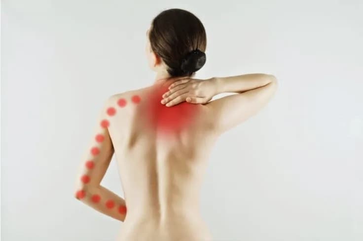 Cornélie Joëlle - photo 2