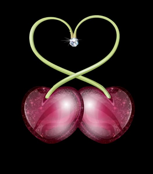 Elégancia - photo 2