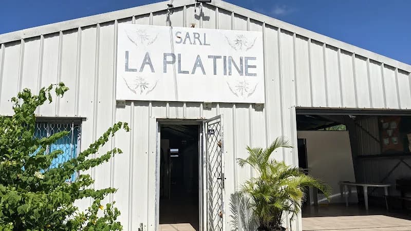 La Platine d’Or - photo 2