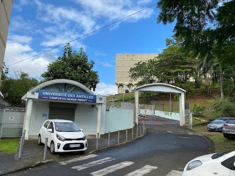 Larifla Dominique - photo 2