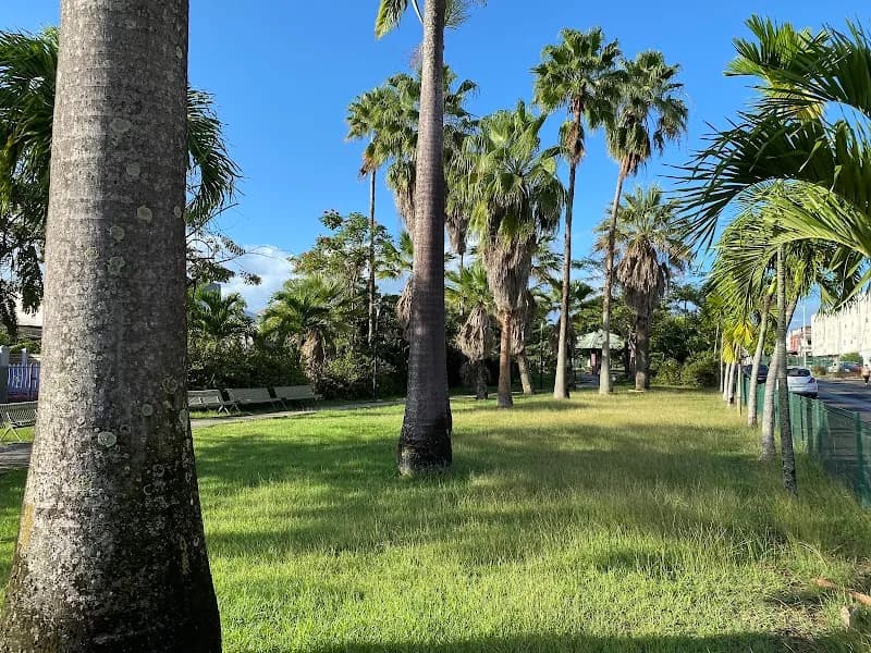 Larifla Dominique - photo 4