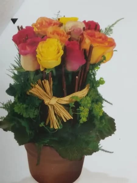 Les Lauriers Roses - photo 3