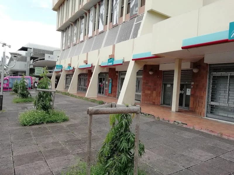 MAAF Assurances Pointe-à-Pitre
