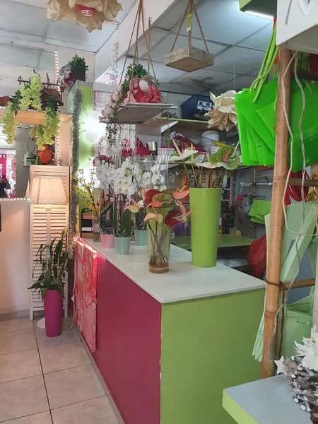 Manso Fleurs - photo 3