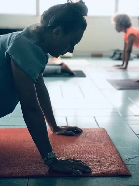 Médecine Douce Vicitra Pointe-à-Pitre - photo 2