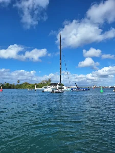 Mitch Location Bateau Pointe-à-Pitre - photo 2