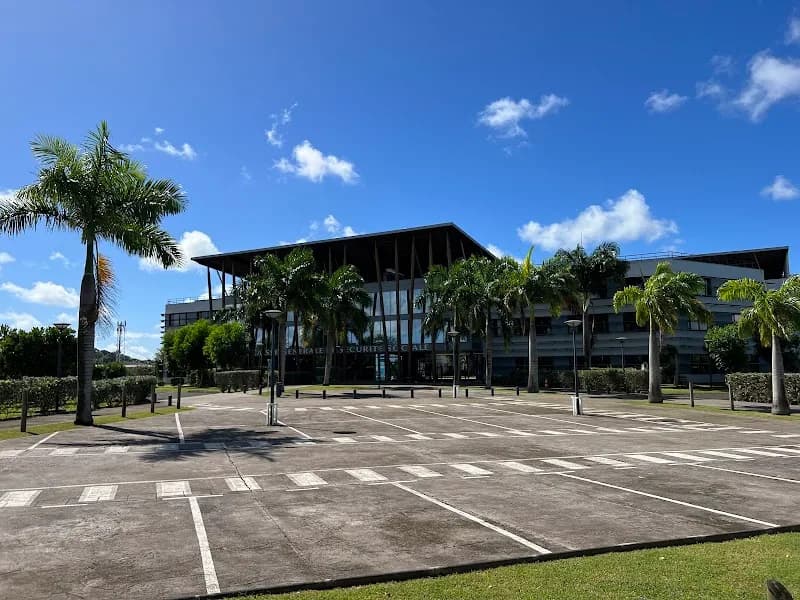 Mutualité Sociale Agricole Pointe à Pitre - photo 2