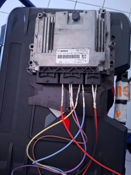 OGM Performance GP Pointe-à-Pitre - photo 2