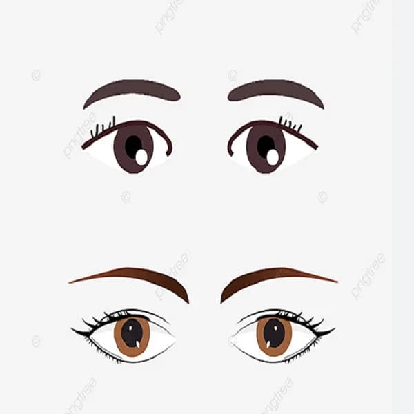 Orthoptiste Rangon Marie-José - photo 3