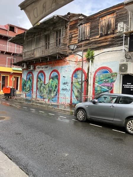 Poni Pointe à Pitre - photo 2