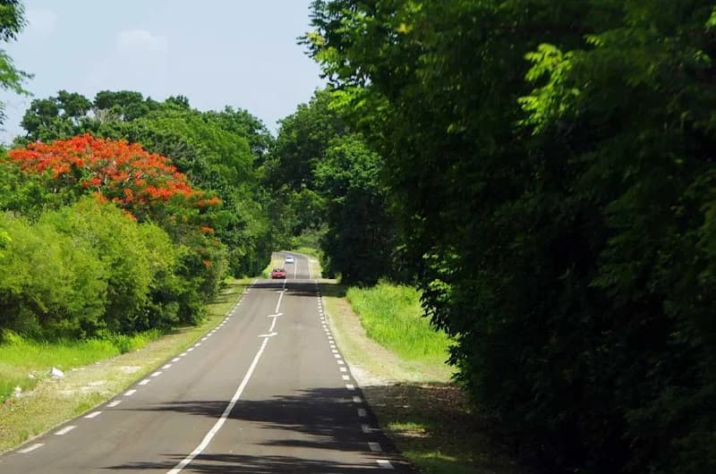 Prestige Remorquage - photo 3