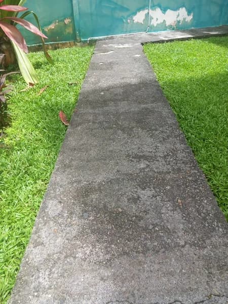 Services à la personne Glory Pointe-à-Pitre - photo 4