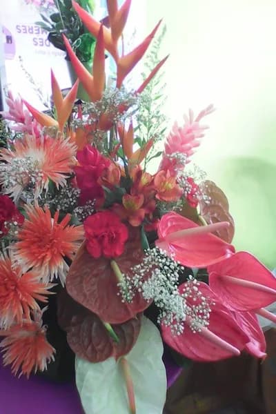 Ysathis Fleurs Pointe à Pitre - photo 3