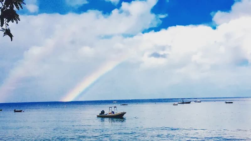 Anse Caraïbe Plongée