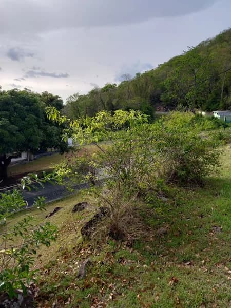 Centre Hospitalier Louis Daniel Beauperthuy