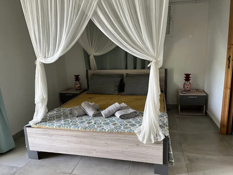 Eco Info Bus - photo 2