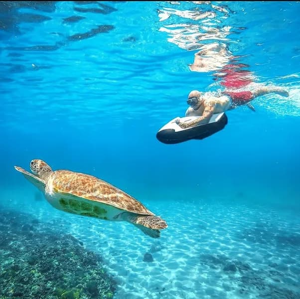 Guadeloupe Pêches Sportives Pointe Noire