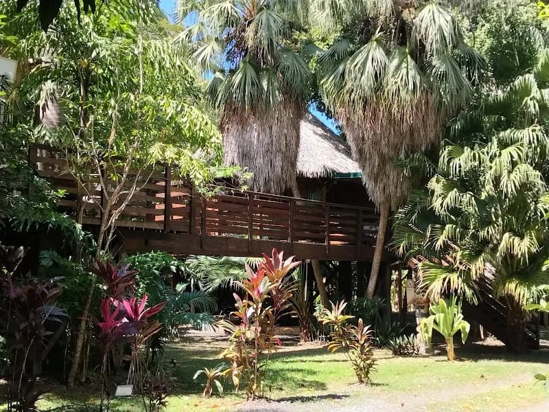 Les Gîtes du Manial Pointe-Noire - photo 2