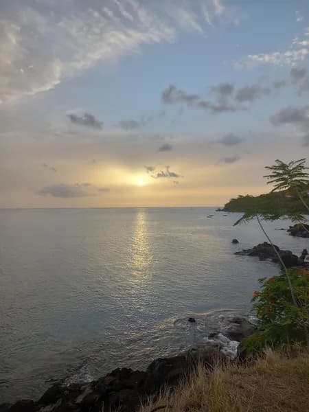 Mairie Pointe-Noire - photo 2