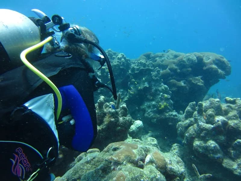 Plongée Les Baillantes Tortues Pointe-Noire