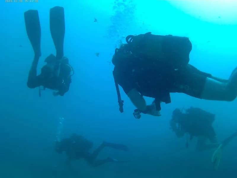 Plongée SeacretDive Port-Louis - photo 2
