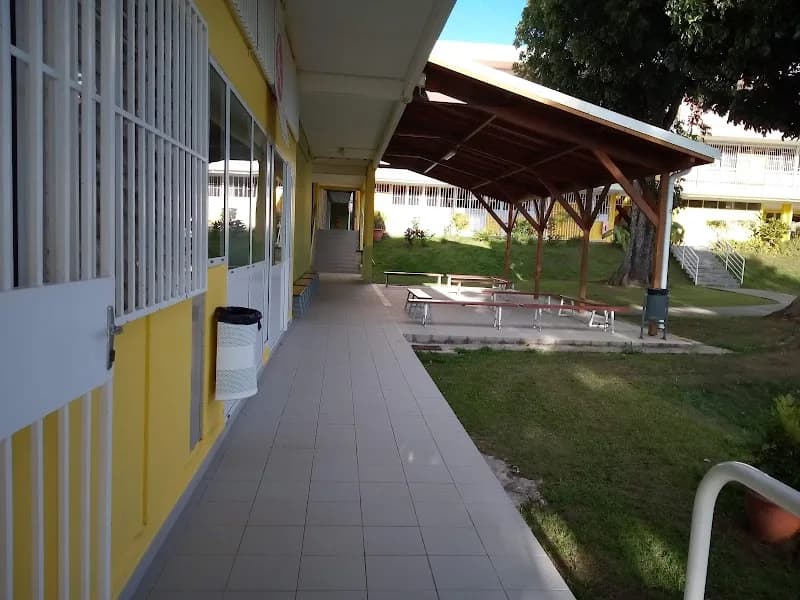 Delord Rémi - photo 2