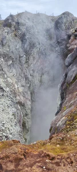 Laupen Geneviève - photo 2