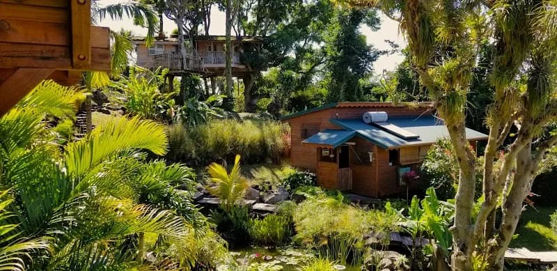 Gîte Les Bananes Vertes