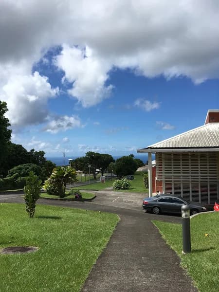 Restaurant Le Tamarinier - photo 2