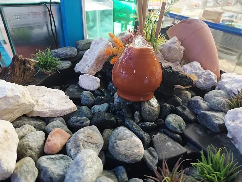 Animal Center Saint François - photo 3