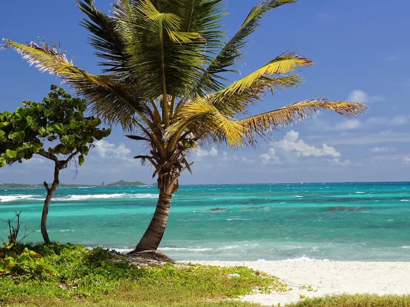 Appartement Cannelle Antilles Saint-François