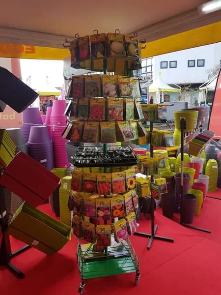 Bati Plus Bagghi - photo 2