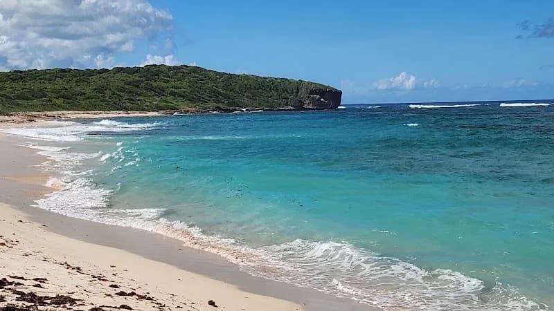Restaurant Chez Honoré Saint-François - photo 4