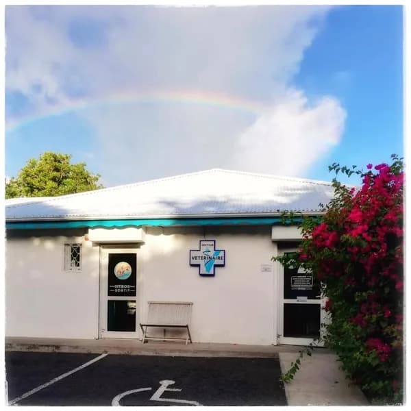 Clinique vétérinaire Chaussecourte et Houdas