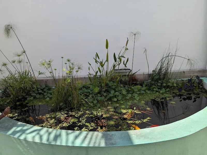 Devenge Jacqueline - photo 3