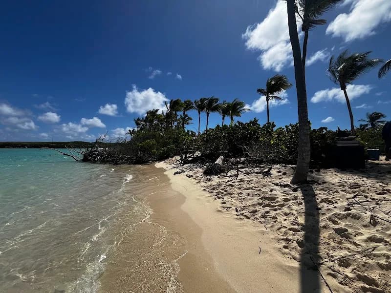 Excursion Paradoxe Croisières - photo 4