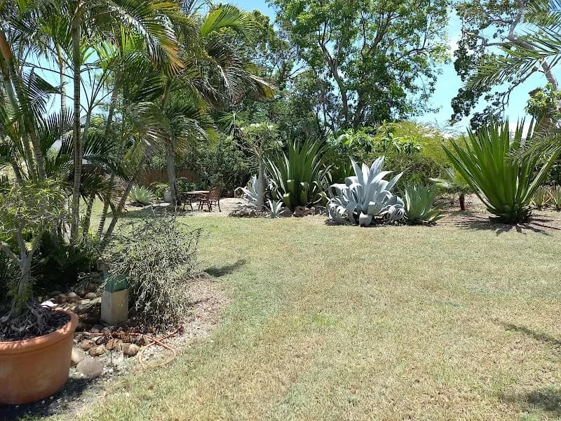 Gazon Minute - photo 2