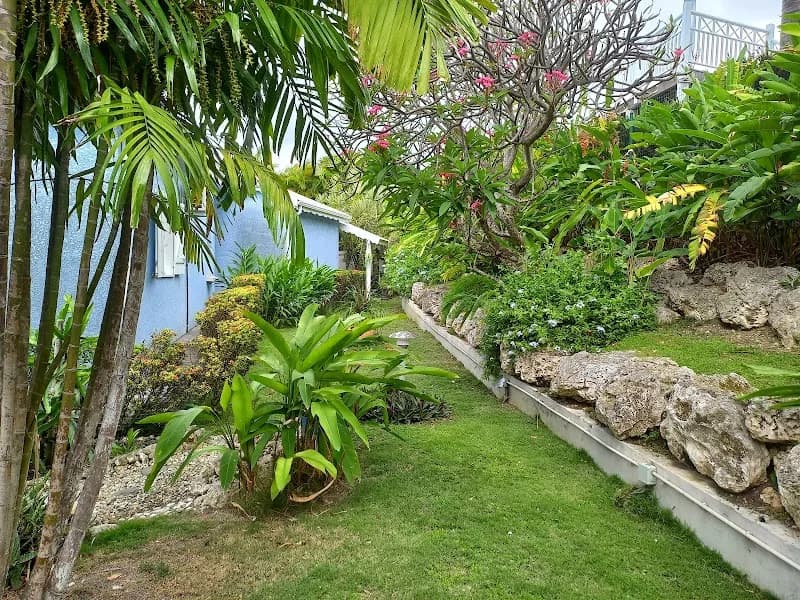 Gazon Minute - photo 4