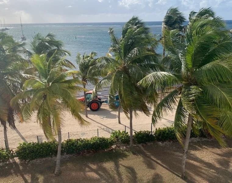 Gîte Ti Figues Goyave & Carambole